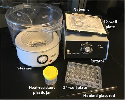 Maximizing Explanatory Power in Stereological Data Collection: A Protocol for Reliably Integrating Optical Fractionator and Multiple Immunofluorescence Techniques